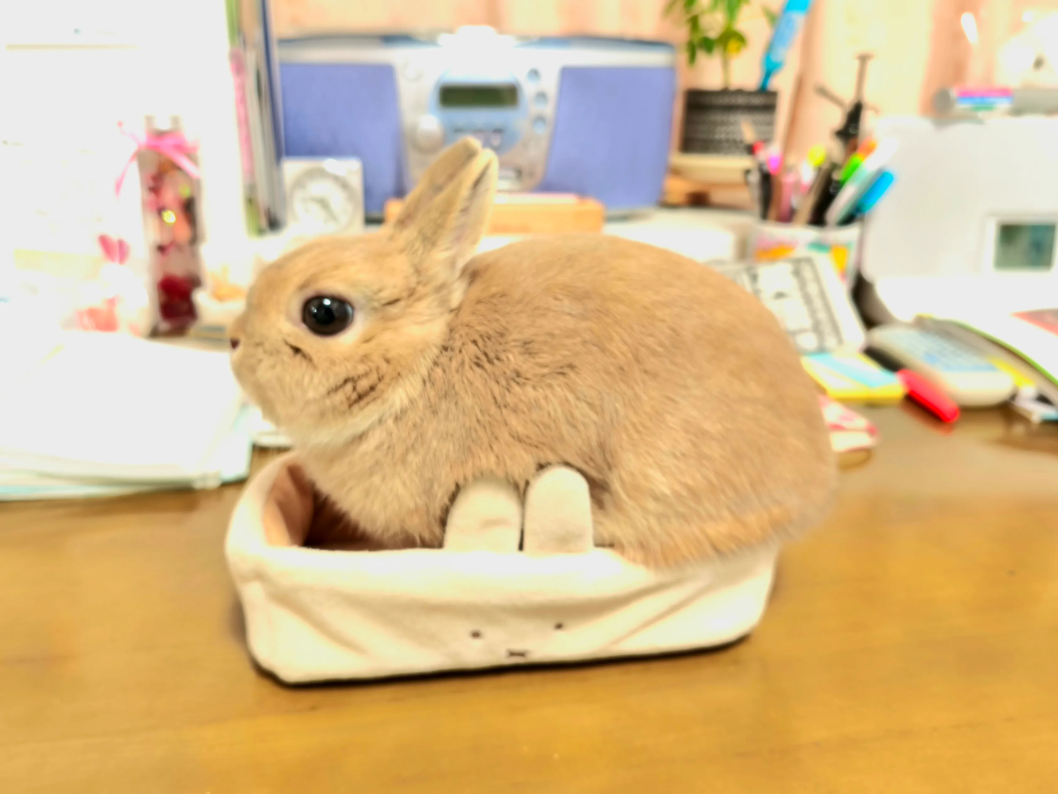 「モノづくり」「人づくり」から「まちづくり」へ。リサーチの力で公共の未来を描く 