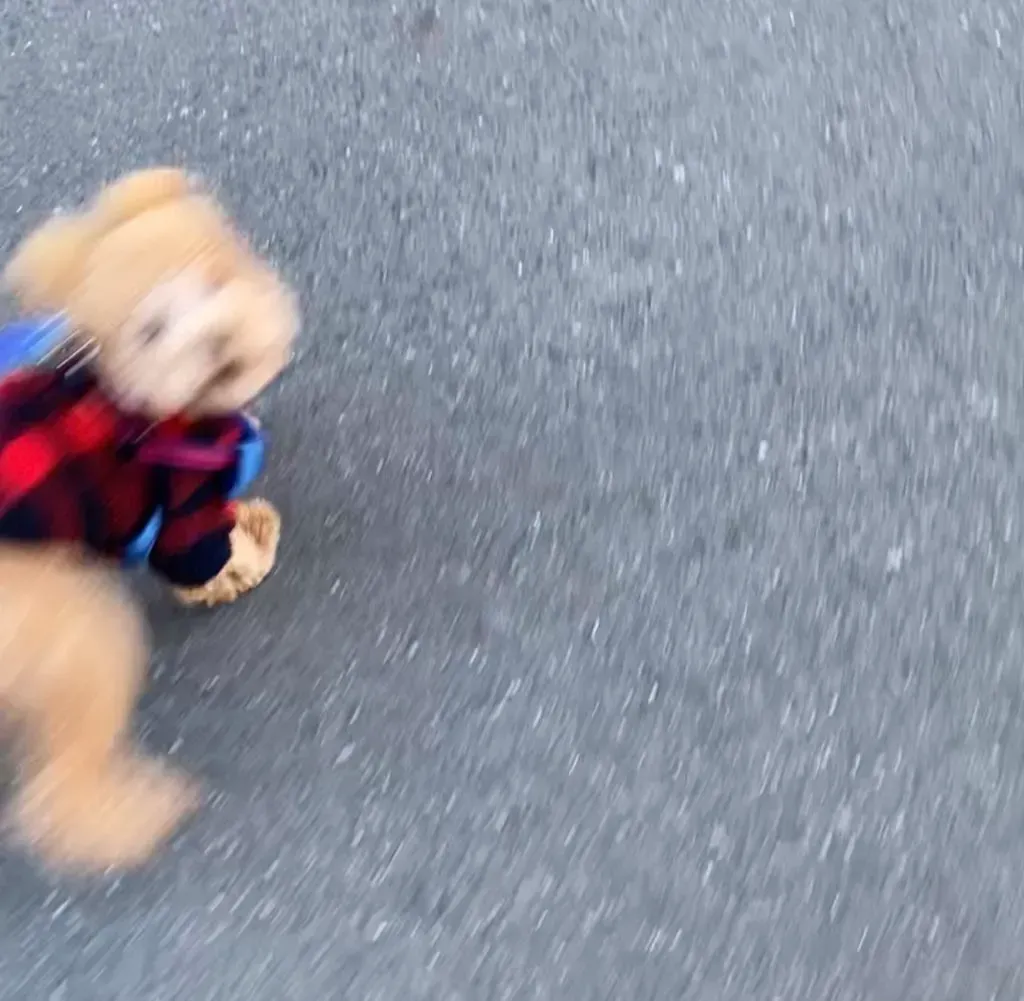 「ルーティン」の先にある奥深さ。家族との時間を大切にしながら、国の統計を支える仕事に邁進 