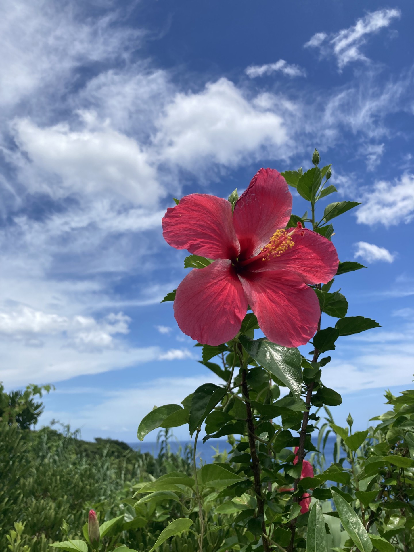 官公庁と民間、データと社会をつなぐ。一気通貫のリサーチで挑む「社会課題の解決」 